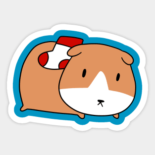 Sock Guinea Pig Sticker